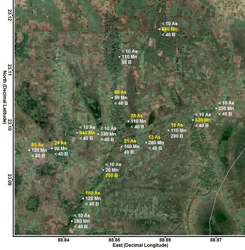 Satellite image showing the arsenic (As), manganese (Mn), and boron (B) concentrations (�g/L) in each tubewell from the Bongaon neighborhood area.  Concentrations shown in yellow are greater than World Health Organization (WHO) health-based drinking water guidelines and are considered unsafe.  Concentrations shown in white are less than or equal to these guidelines and are considered safe (Google Maps).