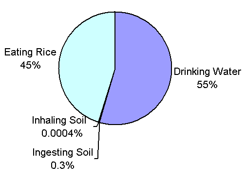 Estimated exposure to As in Bangladesh from water, rice, and soil.