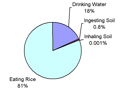 Estimated exposure to Mn in Bangladesh from water, rice, and soil.