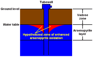 The hypothesized release of arsenic from pyrite during groundwater pumping.